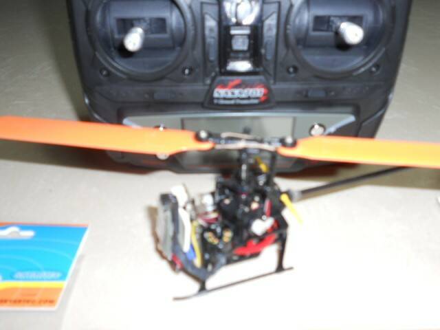 DSCN1376.JPG