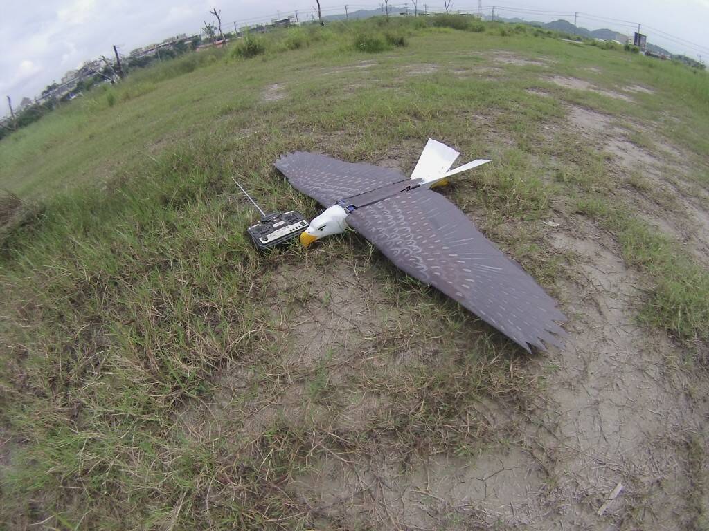 GOPR3374.JPG