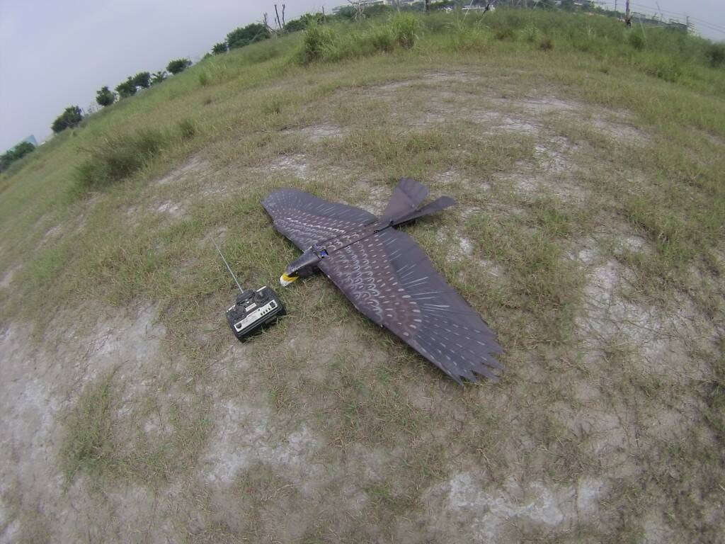 GOPR3457.JPG