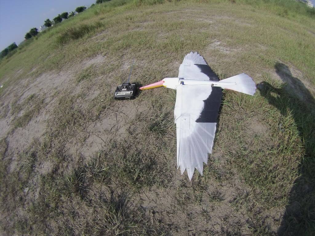 GOPR3500.JPG