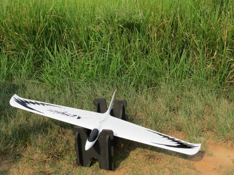 白鳥機.jpg