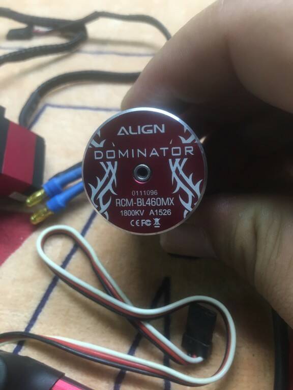 S__4964411.jpg