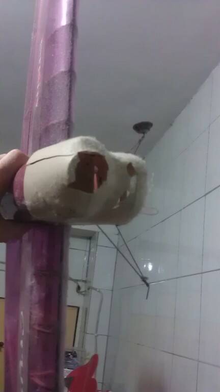 IMAG2636.jpg