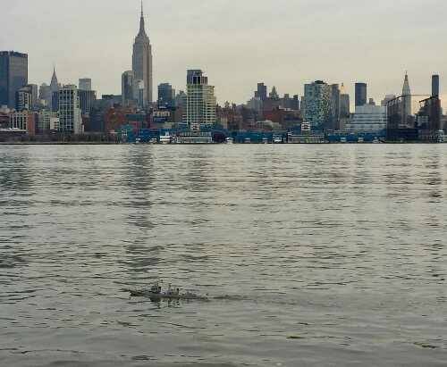 IMG_2694.JPG