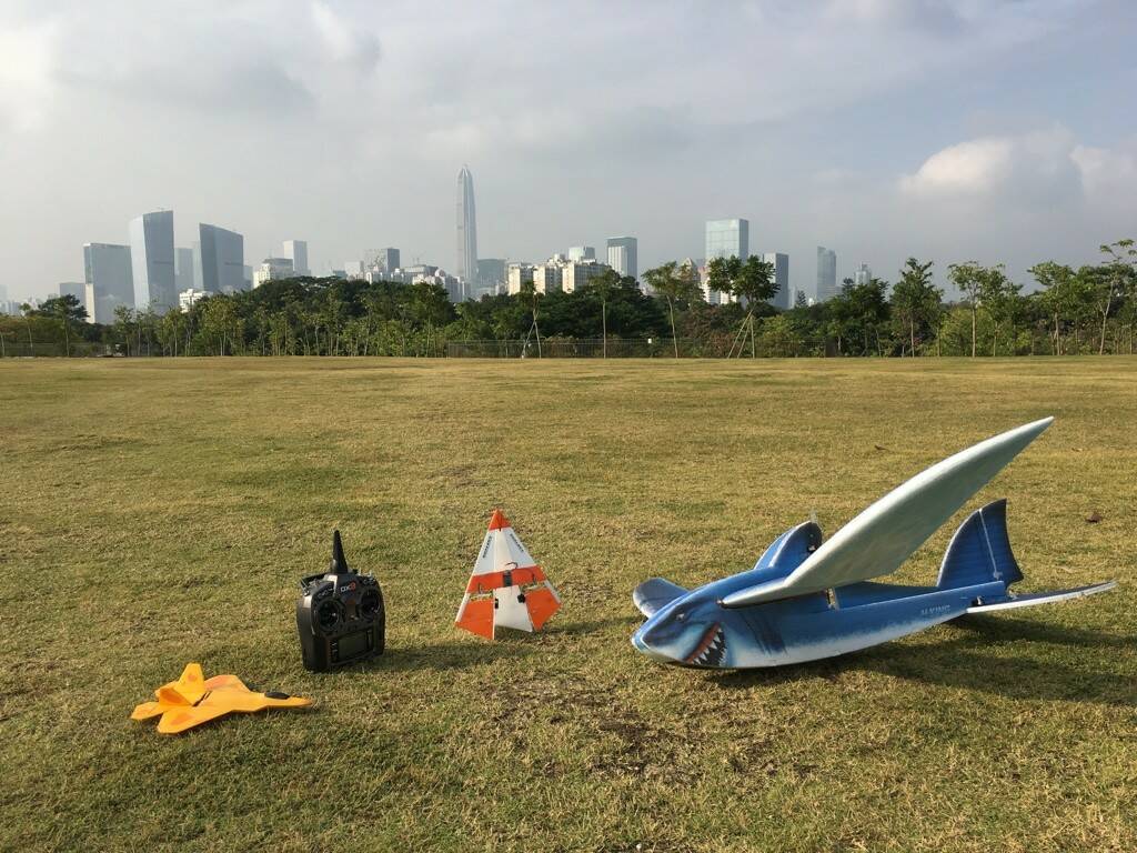 Shark-01.jpg