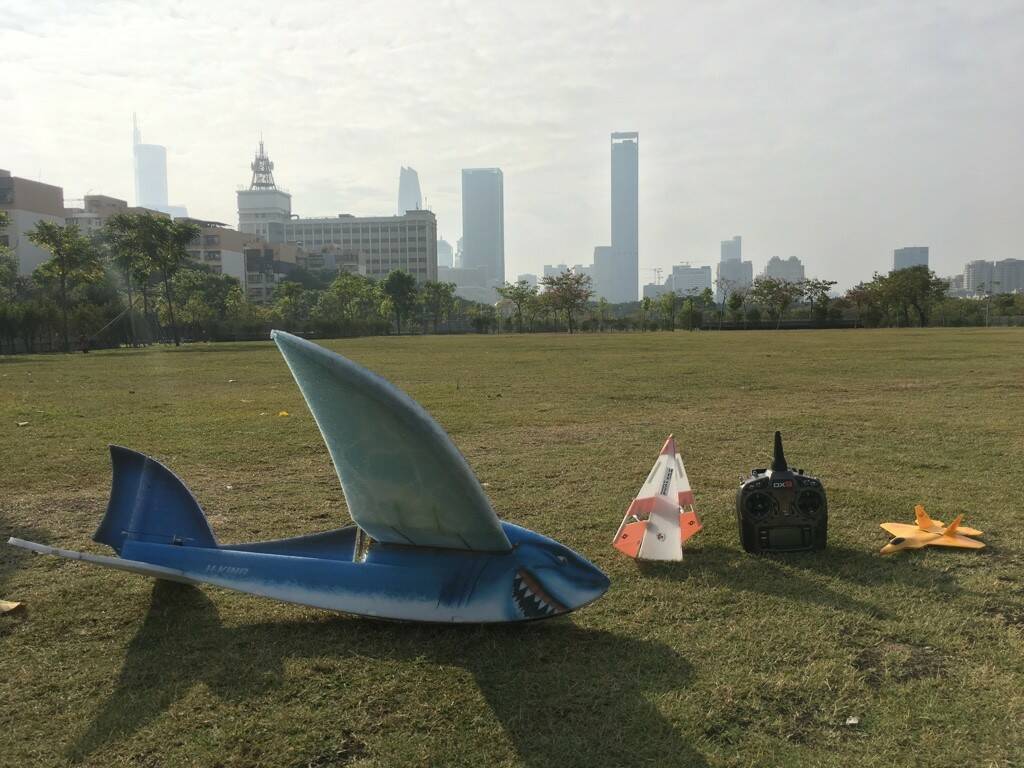 Shark-04.jpg