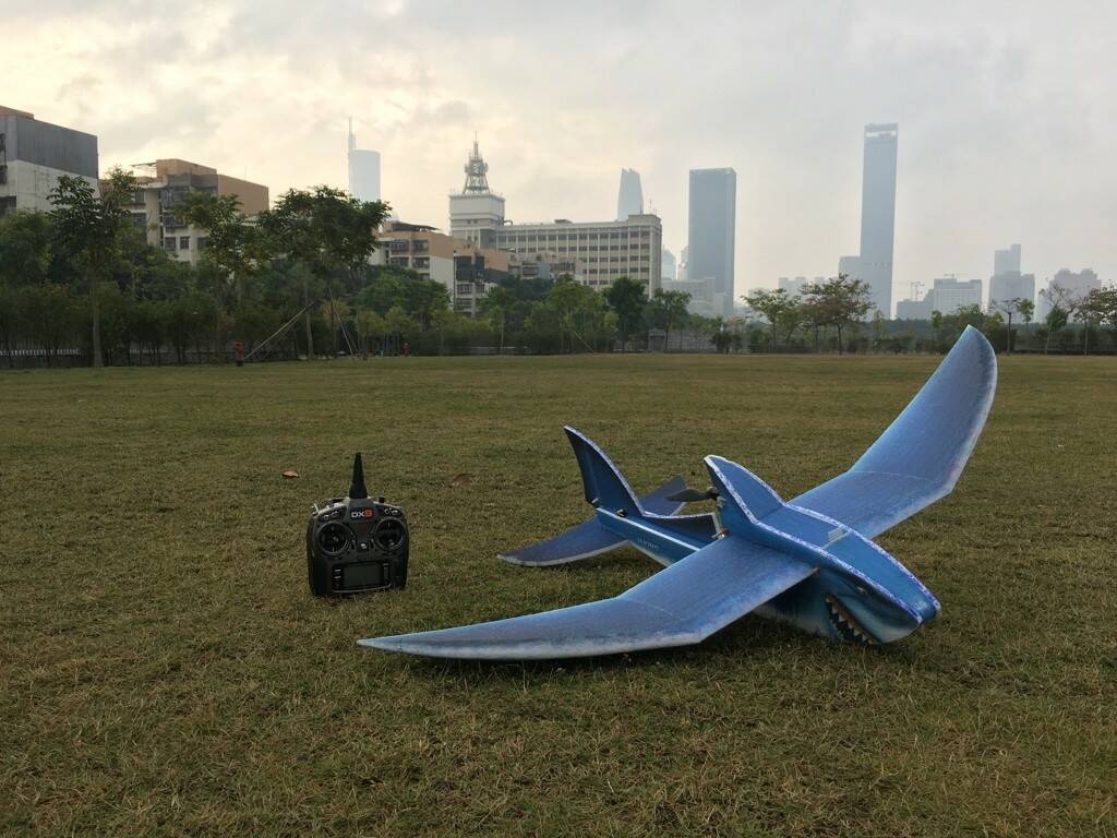 Shark-05.jpg