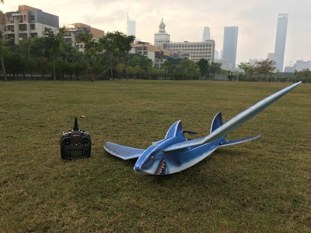 Shark-06.jpg
