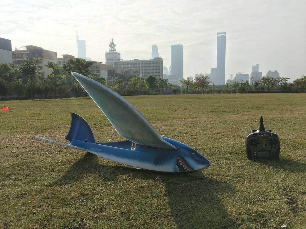 Shark-07.jpg