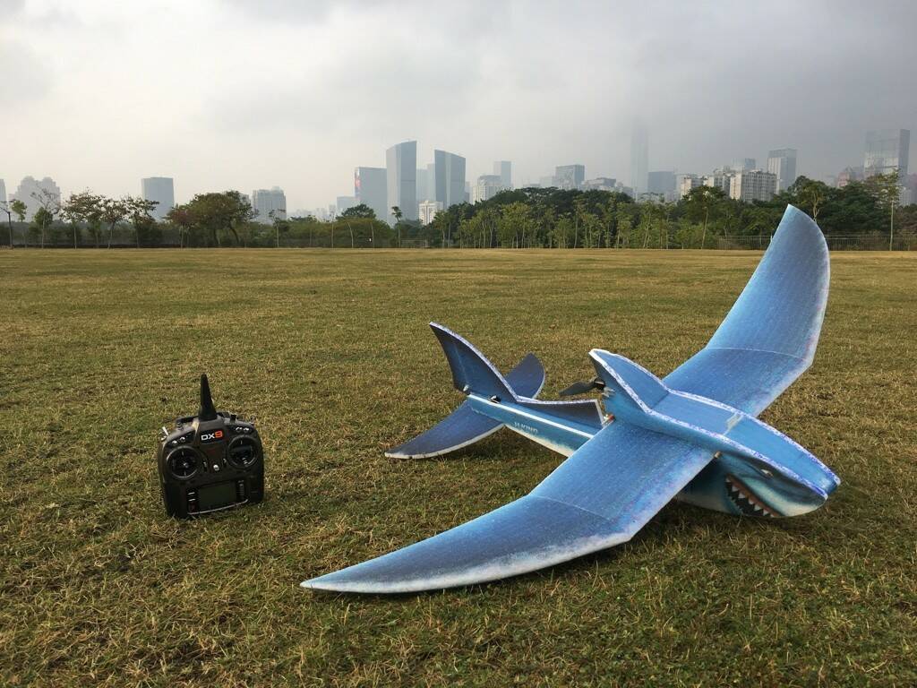 Shark-09.jpg