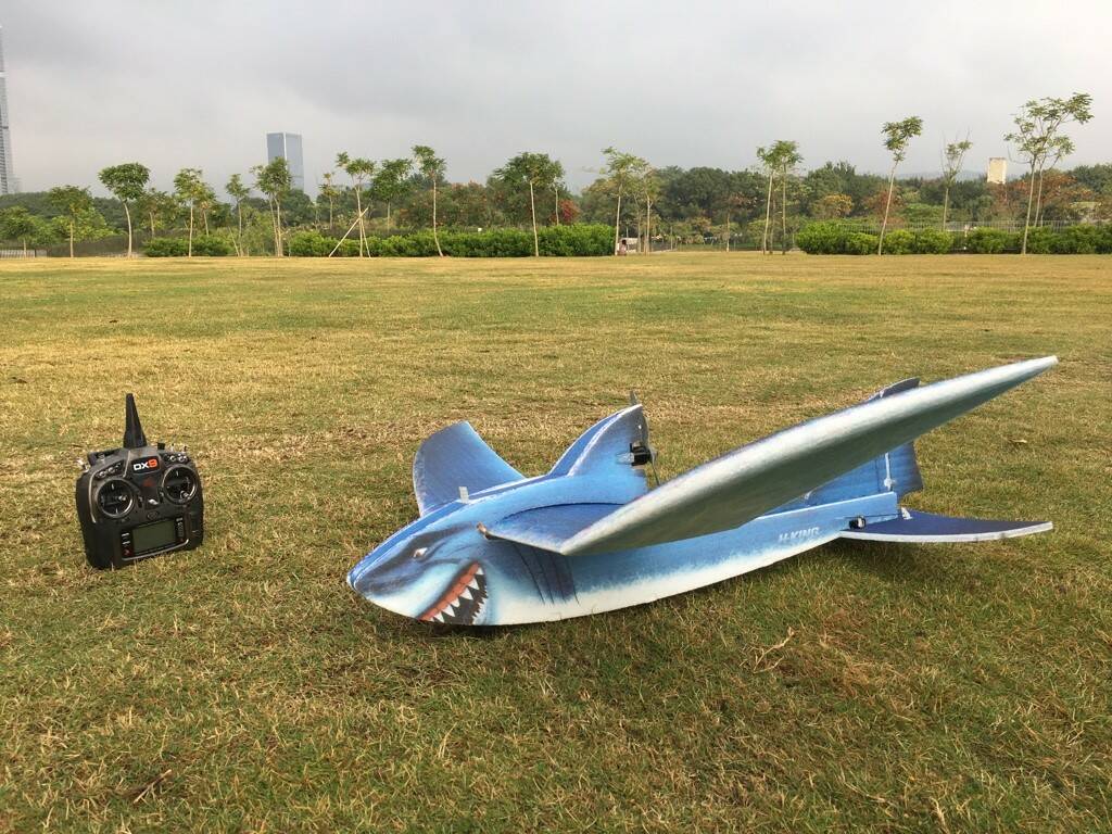 Shark-10.jpg