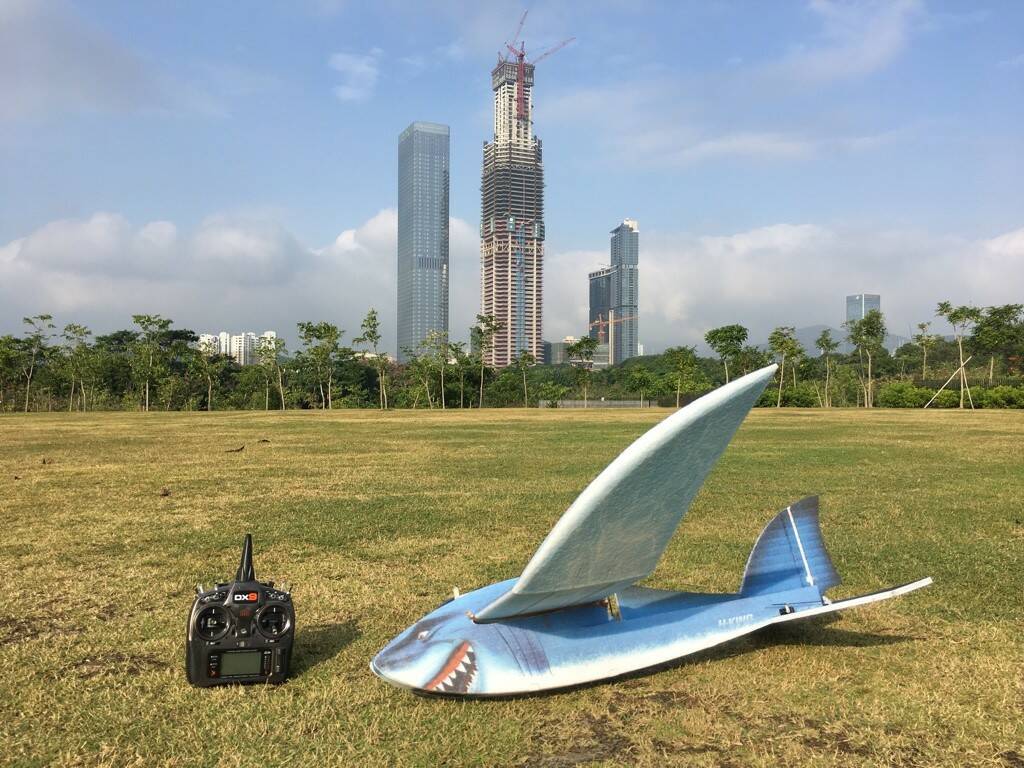 Shark-11.jpg