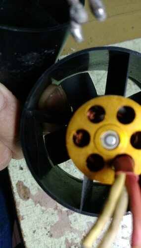 IMAG0799.jpg