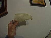thumb-GOPR3817.jpg