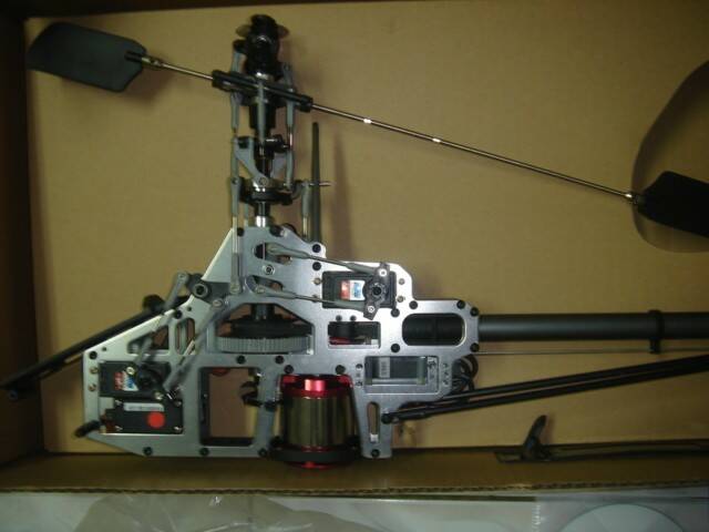 ppg-0226.jpg