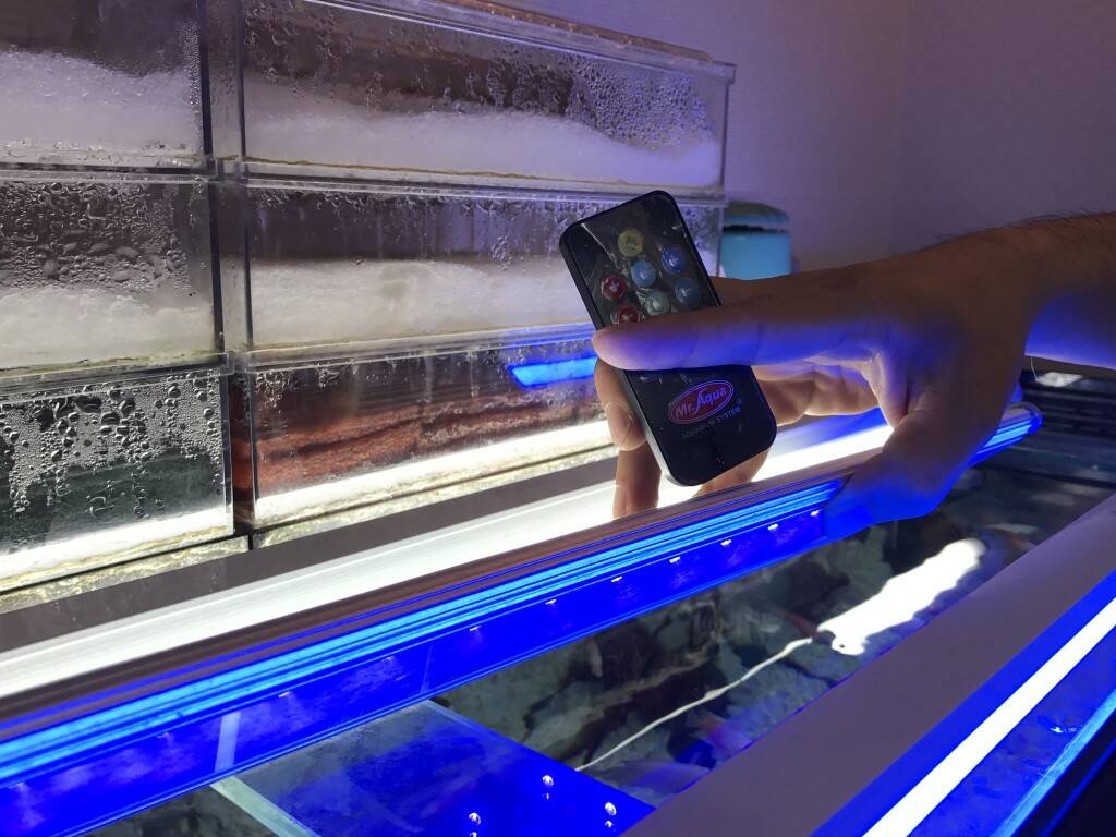 2尺可遙控變色燈