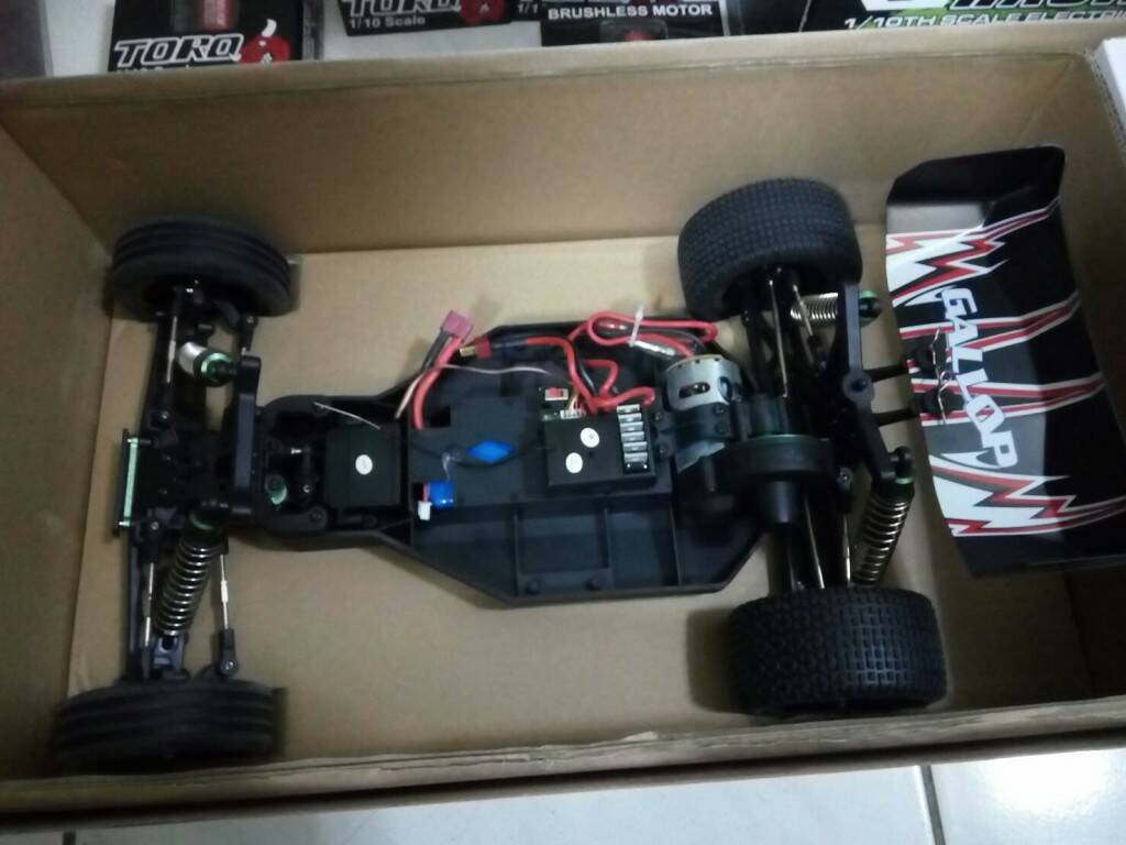 8650.jpg