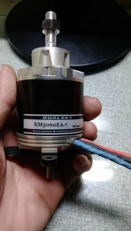IMAG0203.jpg