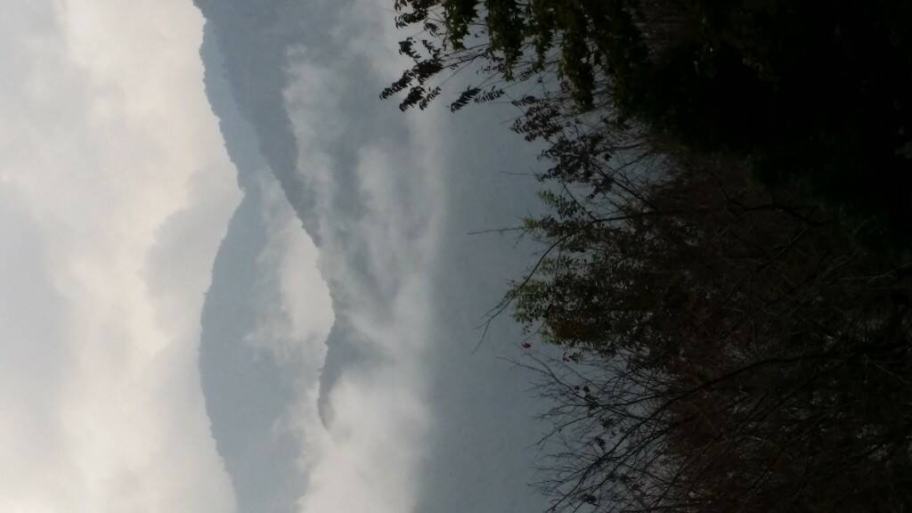 20151203_164042_3.jpg