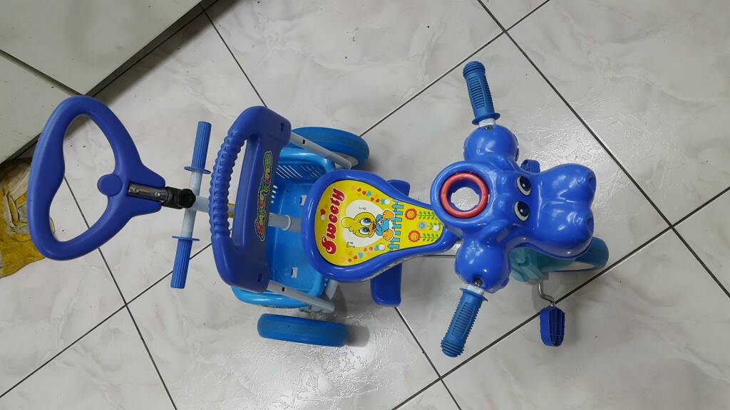 20170420_065546.jpg