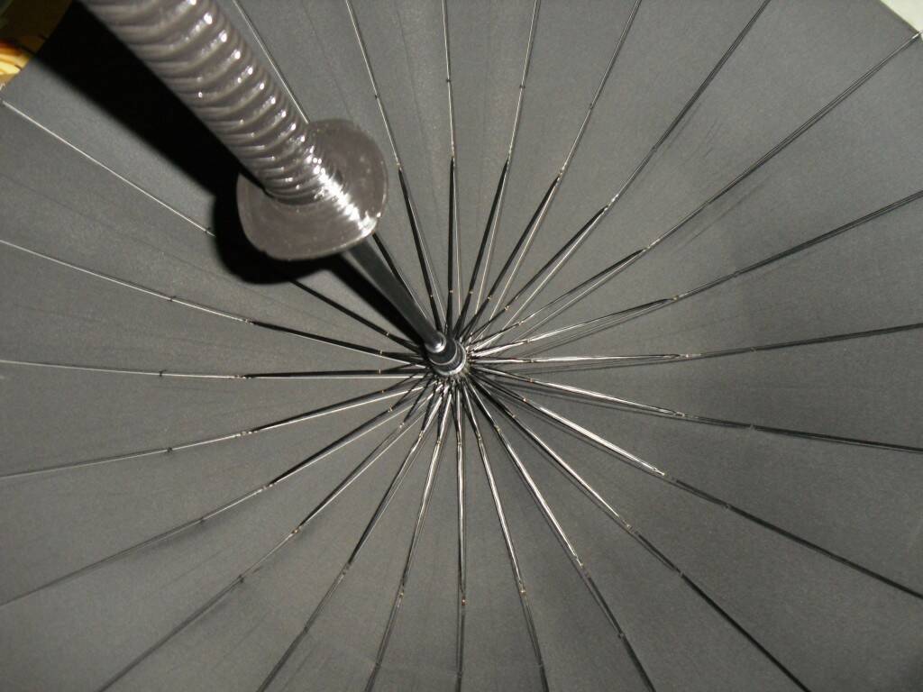 DSCI0580.JPG