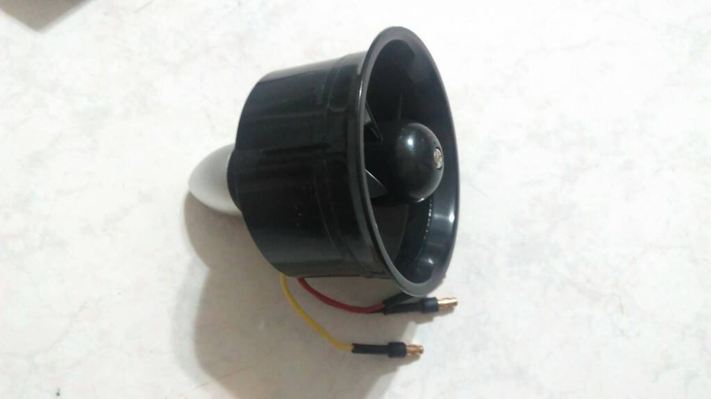 401756.jpg