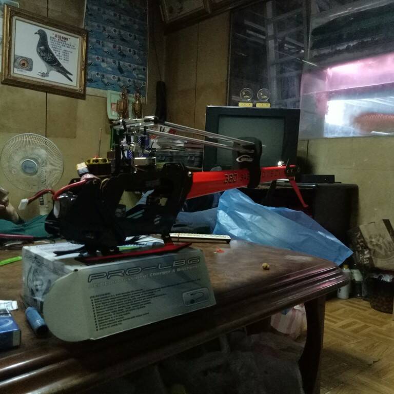 1504846478837-615967112.jpg