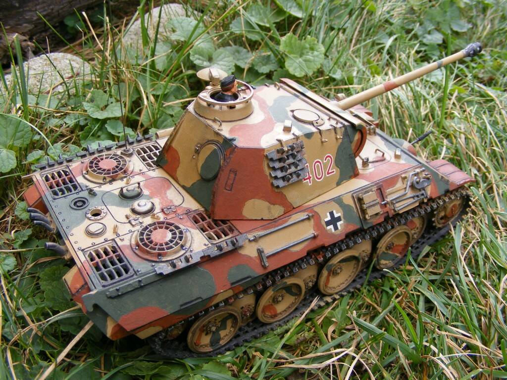 panther-A (3) GOOD.JPG