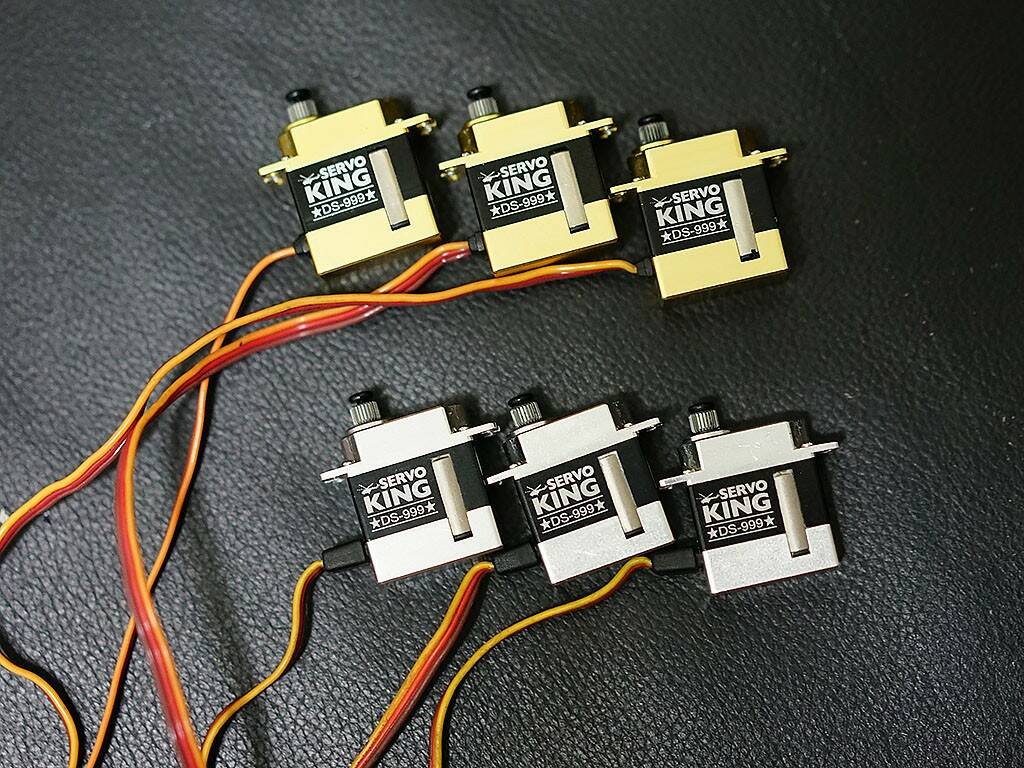 Servo DS-999.jpg