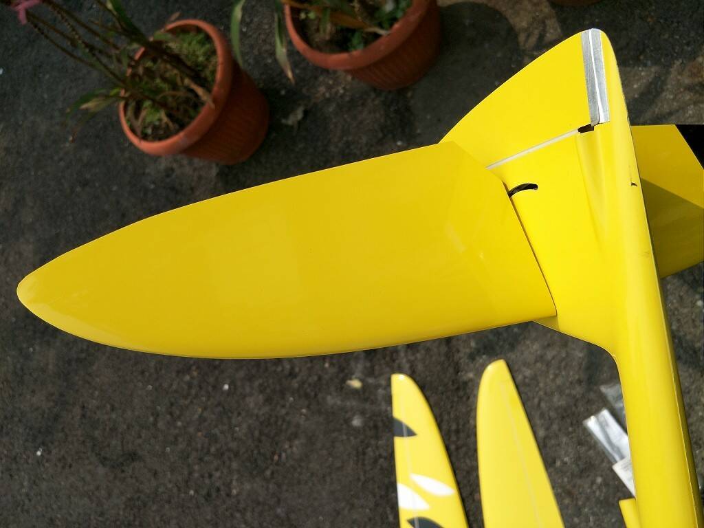 E-Sunbird XTail-4.jpg