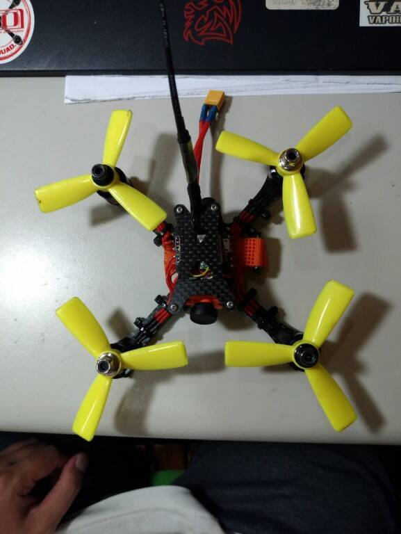 25694.jpg