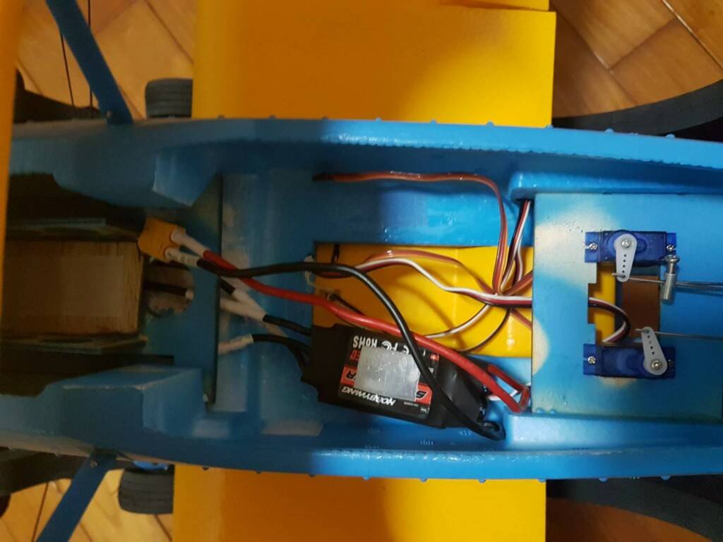 3903.jpg