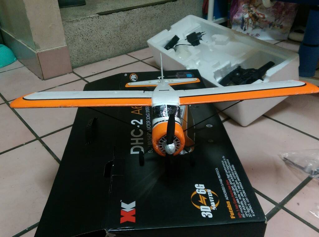IMAG0064.jpg