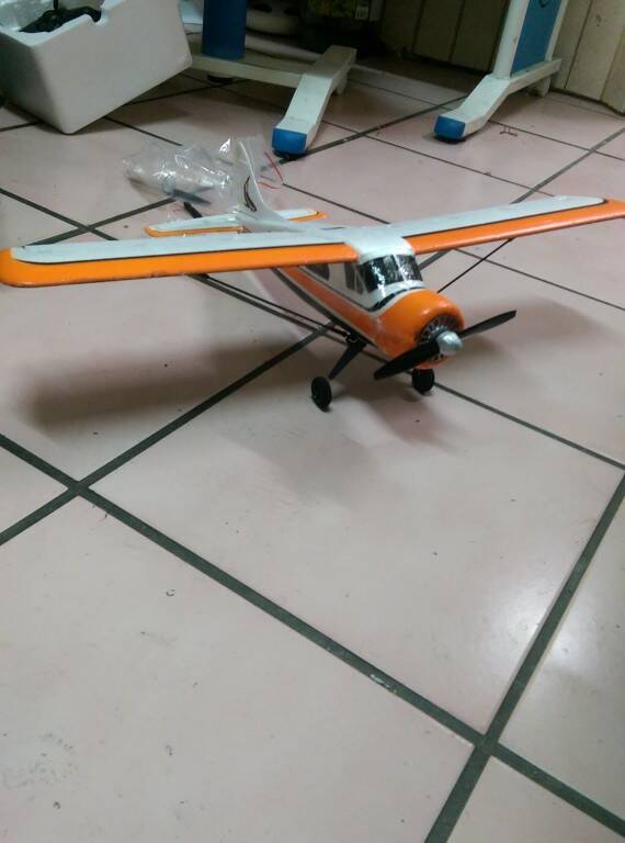 IMAG0065.jpg