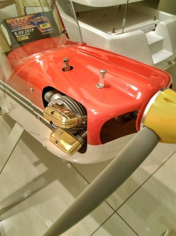IMAG0487.jpg