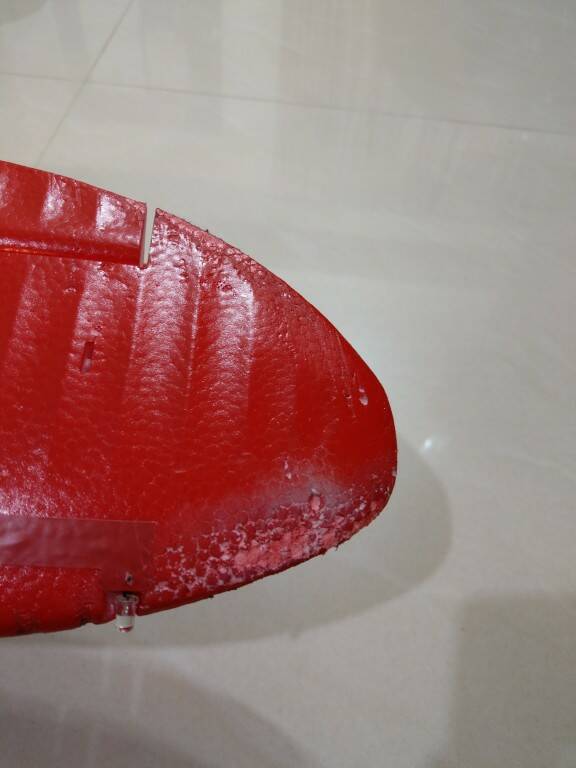 下翼尖擦傷