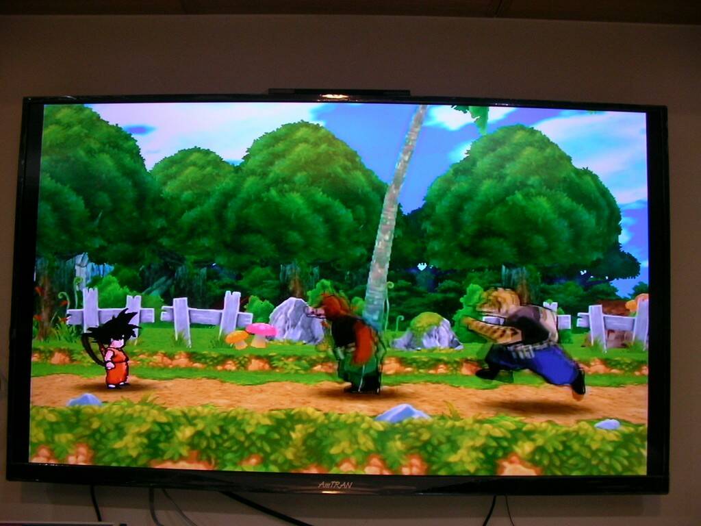 Wii (5).JPG