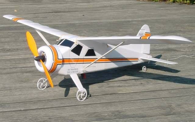kpd-beaver-gws.jpg