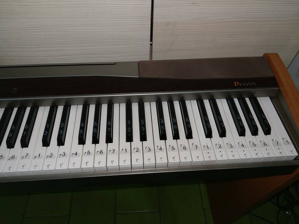 IMAG0381.jpg
