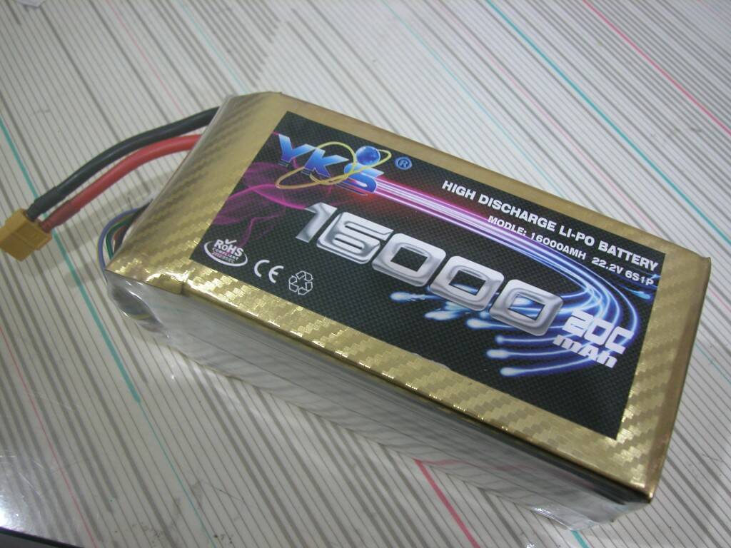 鳳凰大多軸電池.JPG