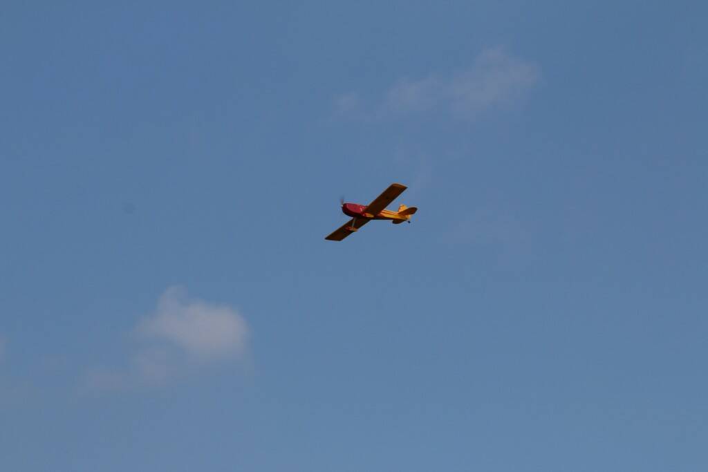 IMG_6551.JPG