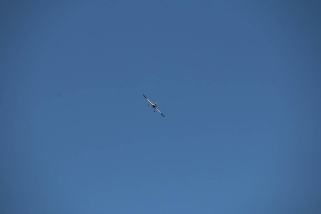 IMG_6585.JPG