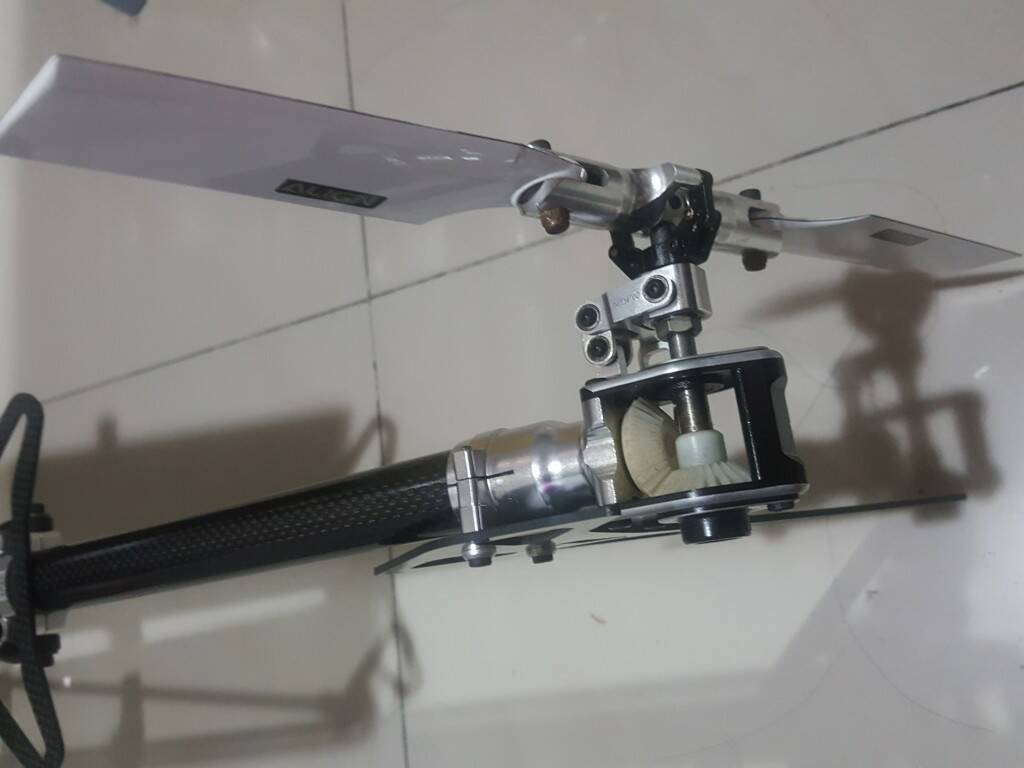 20180908_005237.jpg