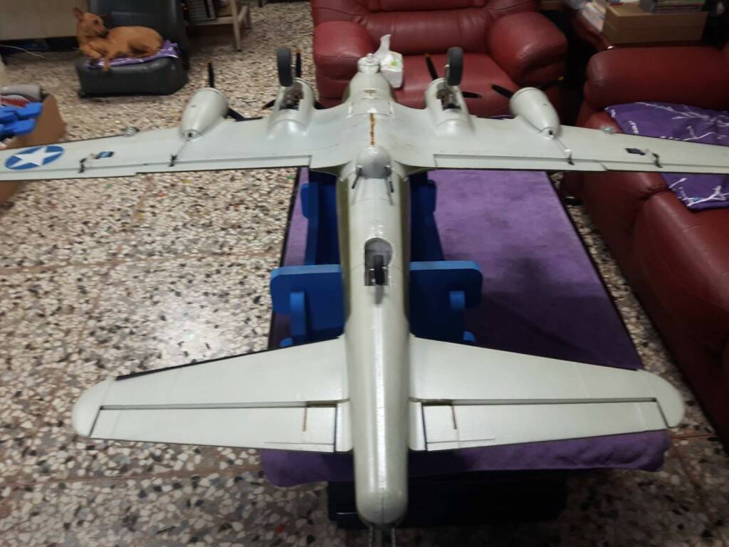 803563.jpg