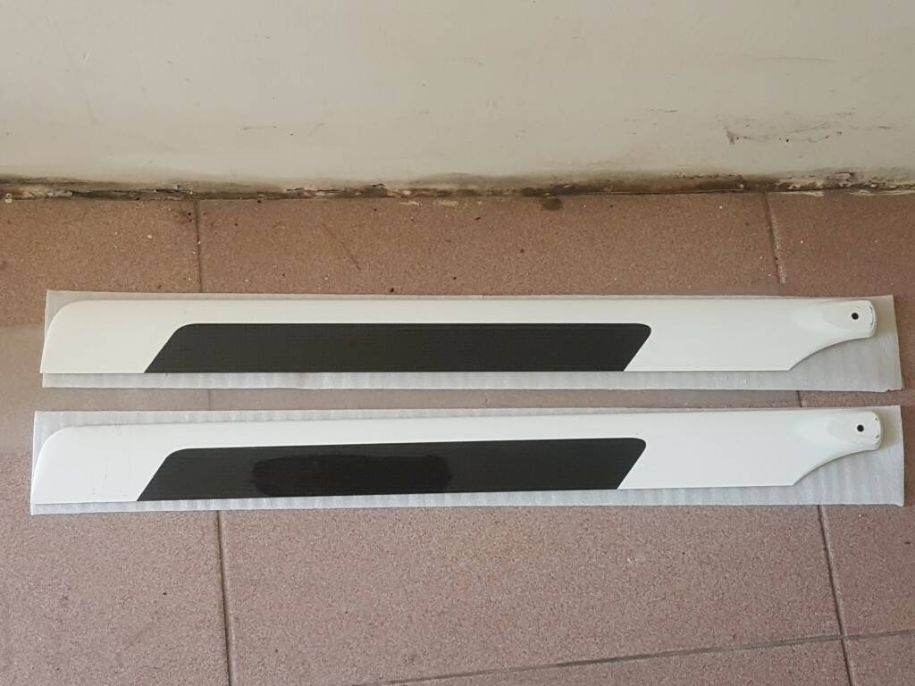 20190417_094256.jpg