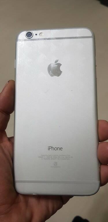 155956763326811.jpg