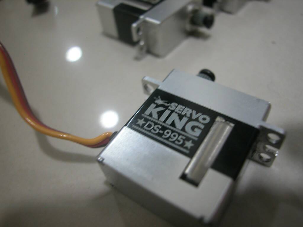 ServoKing ds-995.JPG