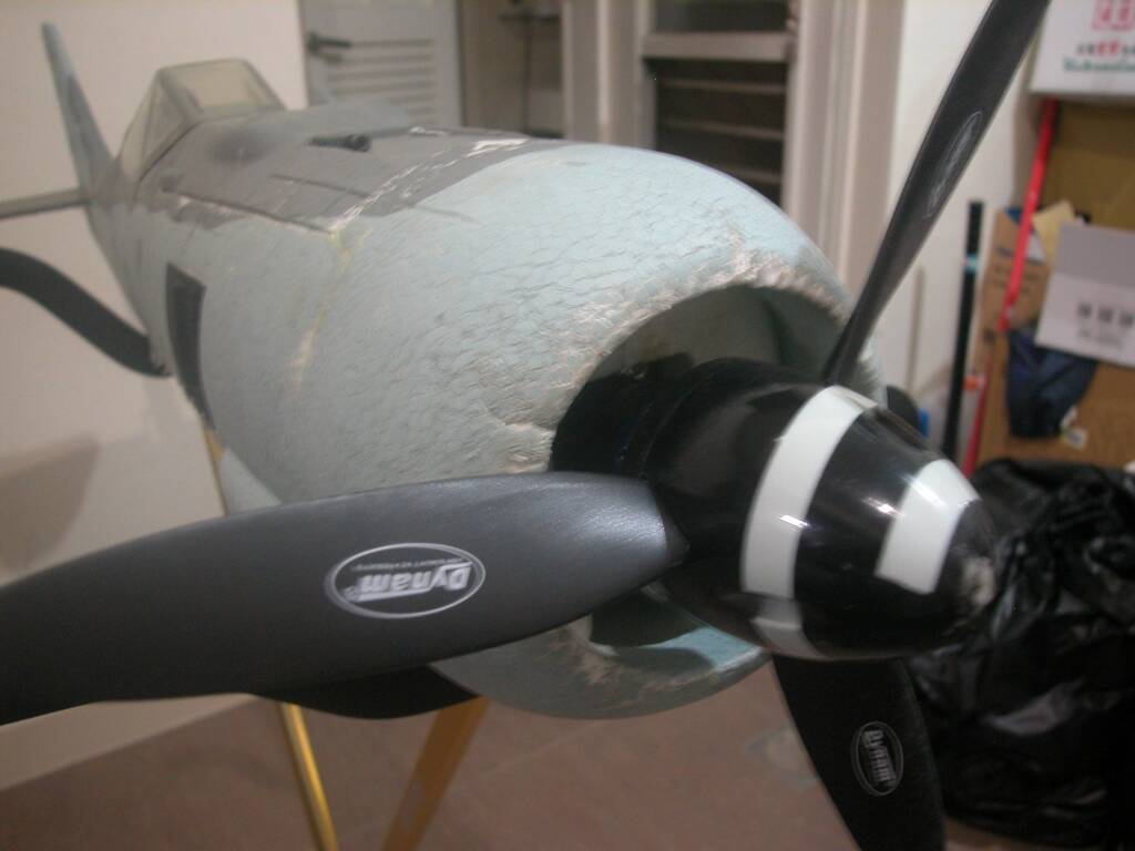 DSCN4581.JPG