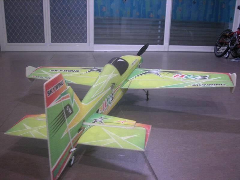 Sky wing MXS_02.jpg