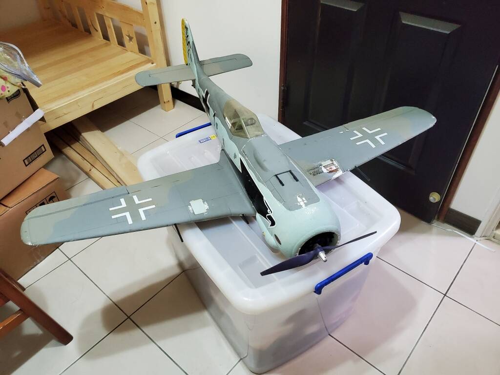 Dynam FW-190